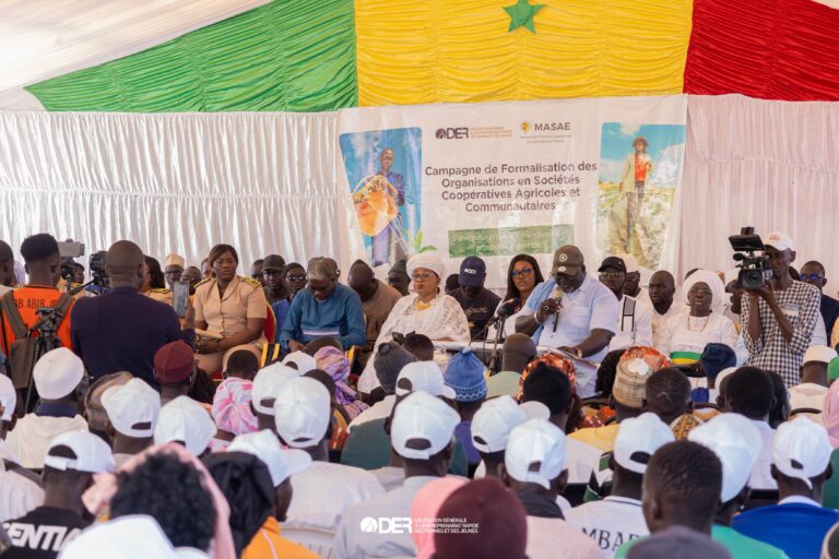 68ea28dc62203 glphdydsjo