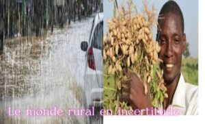 whatsapp image 2025 10 13 at 16.55.31