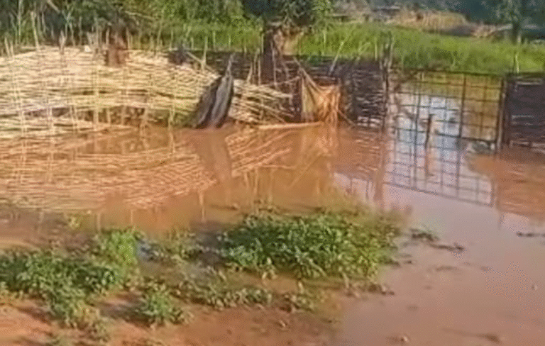 thumb 1260x800 68e03a70e4cfd w9car63ig6