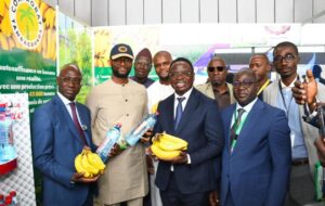 thumb 1260x800 68f23f5b6700a gail8sqzpv