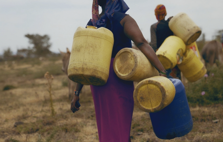 thumb 1260x800 68f662678cb44 0gwgwnvmxj