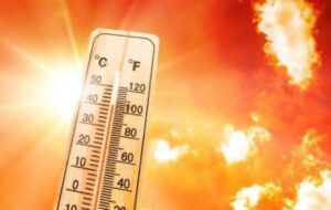 thumb 1260x800 68fbac25ed0d9 xtzgnff06n